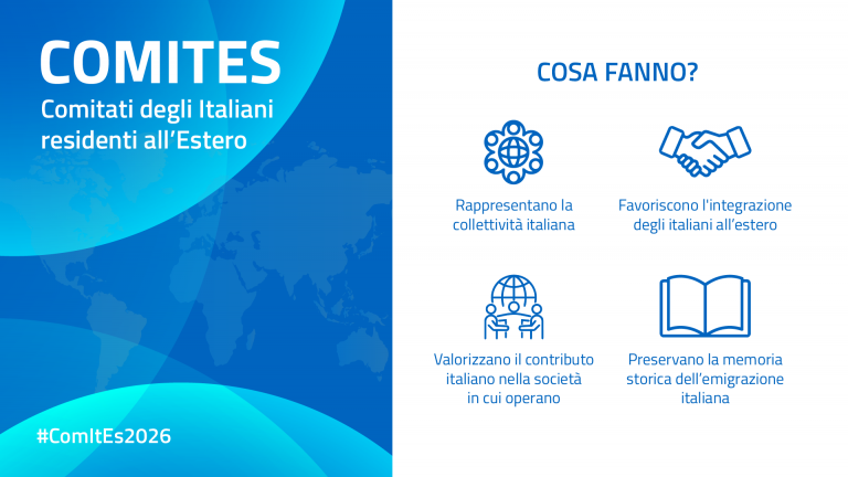 Cosa fanno?